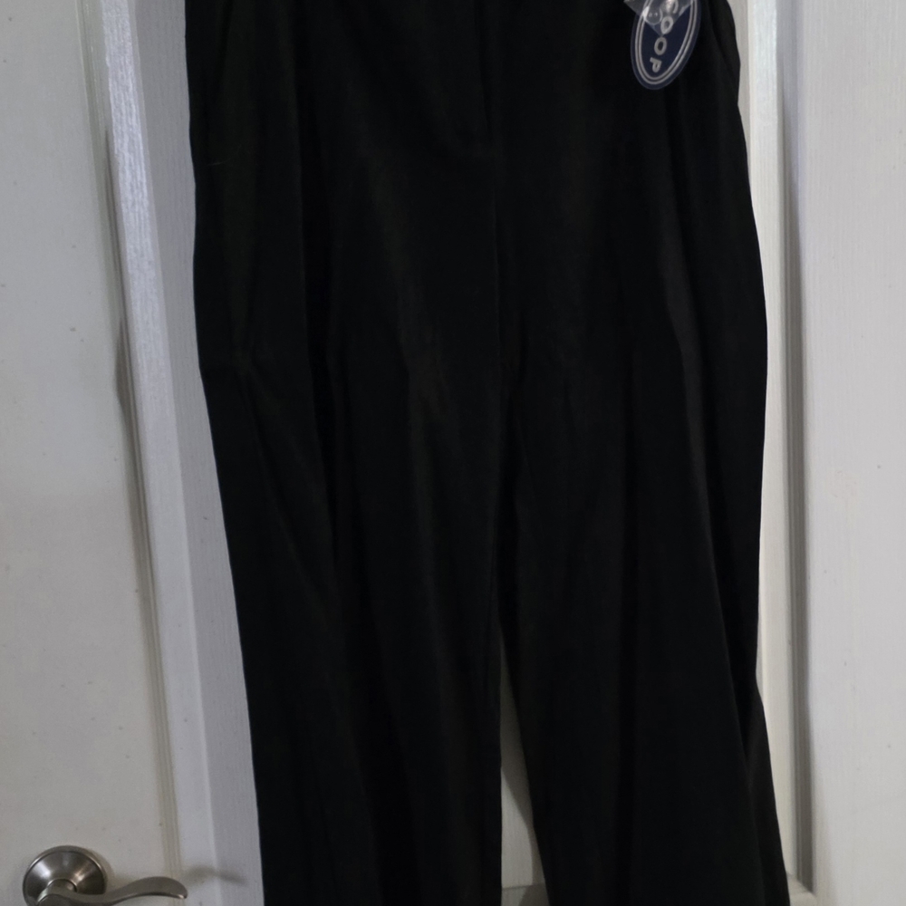 Scoop Black Women's Wide Leg Linen Pants